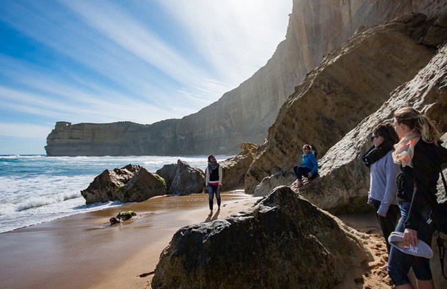 Explora la Great Ocean Road y los Doce Apóstoles - Tour de un día entero - Foto 2